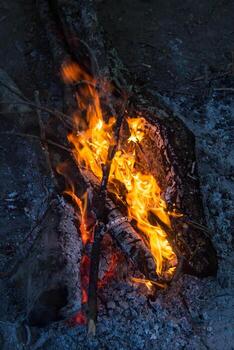 part of Night campfire with available space photo