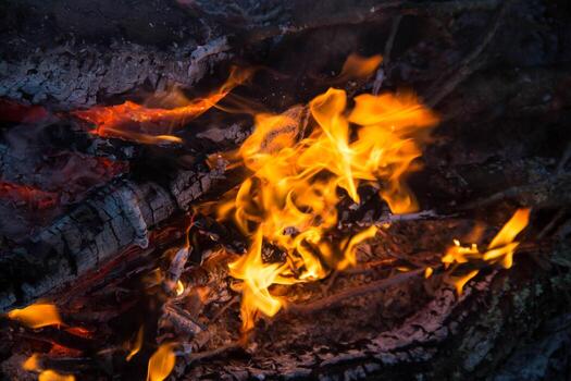 part of Night campfire with available space photo