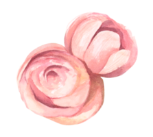 bloemen Afdeling. bruiloft concept met bloemen. zijn perfect voor groet kaarten, bruiloft uitnodiging, verjaardag. png