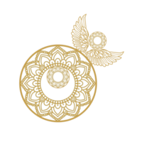mandala, ramadan, yoga, astrologie, tarot, modèle de tatouage. texture dorée, ornements. png