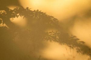 Shadow from the leaves, ready to use. photo