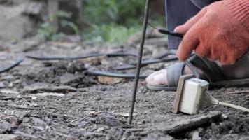 estrazione di vermi di elettrico attuale, a 220 volt. scavare su o adescare vermi su di il suolo senza un' pala. vermi nel nero suolo per pesca esca o compostaggio. video