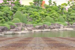 Top desk with blur bonsai trees background,wooden table photo