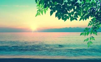 summer sea with green leaves pattern at sunset and copy space,sky relaxing concept,beautiful tropical background for travel landscape photo