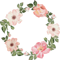 aquarelle épanouissement rose branche bouquet de fleurs couronne cadre clipart png