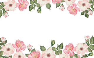 aquarell rosa valentinstag rosengarten blumenstrauß kranz rahmen png