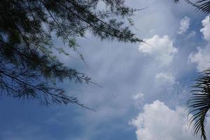 Blue sky with cloud photo