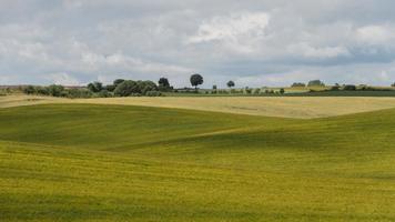 Overlapping hills on the island of Fyn in Denmark. photo