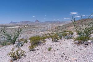 Big Bend National Park is located in South Texas on the border with Mexico and is a starkly beautiful place. photo