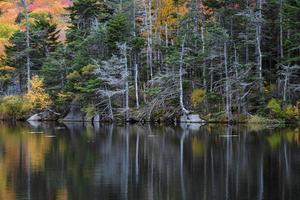 An autumn colored forest reflected in a dark lake in New England. photo