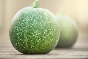 Small green zucchini illuminated by sunlight on the background of vegetable marrow in a blur. photo