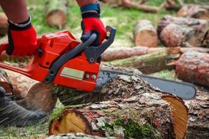 Close-up of woodcutter in red gloves sawing red chain saw in motion, sawdust flying on male's boots photo