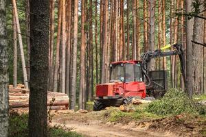 Red forest machine that clears trees in green summer forest standing near sandy road surrounded by growing tree trunks photo