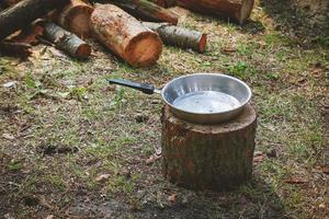 Frying pan standing on tree log on grass with visible cut tree trunks logs on the background photo