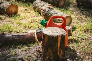 Pine tree logs with bark lie in a forest after being cut by chainsaw with canister of fuel behing a stump photo