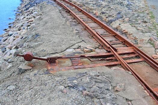Multiple railroad tracks with junctions at a railway station in a perspective and birds view photo
