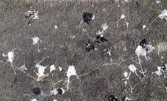 Lots of bird poop on asphalt concrete road background. photo