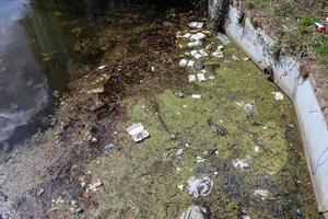 Environmental pollution found at a lake where people dumped their rubbish. photo