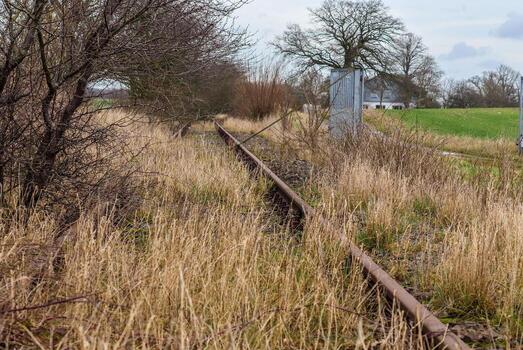 Multiple railroad tracks with junctions at a railway station in a perspective and birds view photo
