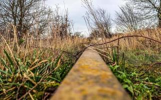 Multiple railroad tracks with junctions at a railway station in a perspective and birds view photo