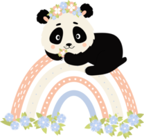 Cute panda on rainbow with flowers png