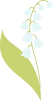 mai muguet. fleur de la forêt png