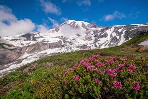 paisaje del parque nacional del monte rainier en estados unidos foto