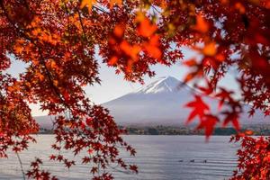 Mt. Fuji in autumn with red maple leaves photo