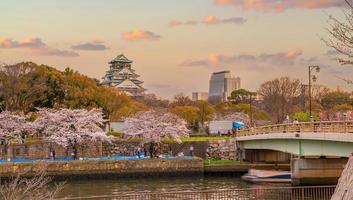 crepúsculo en el castillo de osaka durante la temporada de flores de cerezo foto