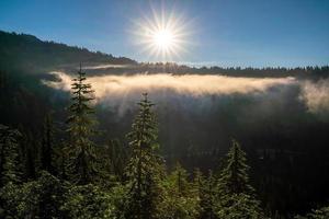 Landscape of Mount Rainier National Park in USA photo