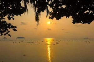 silueta natural de una vista al mar al atardecer con árboles enmarcados en tonos naranjas, nadie, copie el espacio. foto