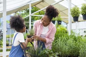 madre africana e hija están eligiendo plantas de verduras y hierbas del vivero del centro de jardinería local con carrito de compras lleno de plantas de verano para la jardinería de fin de semana y el concepto al aire libre foto