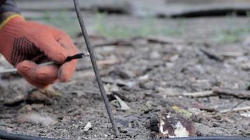 extraction de vers par courant électrique, à 220 volts. déterrer ou attirer les vers hors du sol sans pelle. vers dans le sol noir pour appâts de pêche ou compostage. video