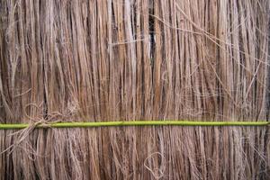 Golden wet raw jute fiber hanging under the sunlight for drying. Golden jute fiber texture background photo