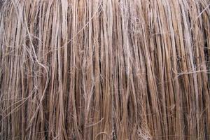 Golden wet raw jute fiber hanging under the sunlight for drying. Golden jute fiber texture background photo