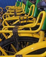 Row of rental bikes in the Netherlands photo