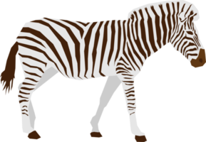 design de vetor plano animal zebra isolado png