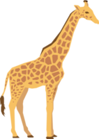 diseño de vector plano animal jirafa aislado png