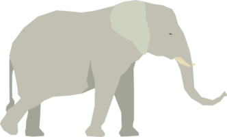 Elephant animal flat vector design isolated png