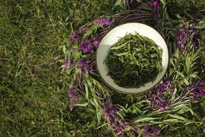 Process of fermentation of tea. Manual processing Ivan tea fermentation photo