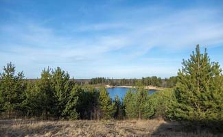 Summer landscape with a beautiful lake with fir trees against a cloudy sky photo