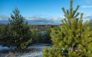 Spring landscape with a beautiful lake with fir trees and last snow against a cloudy sky photo