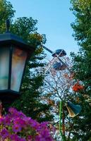 paisaje de un parque de diversiones con farolillos decorados con flores de fondo la parte superior de una noria que se muestra sobre las copas de los árboles contra un cielo. foto