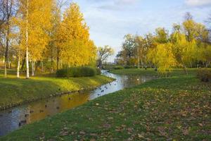 paisaje con un pantano del norte a finales de otoño. foto