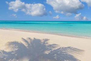 Panoramic landscape view of white beach sand sea water and blue sky clear background. Tropical paradise banner, closeup palm leaves. Summer travel background, wallpaper panorama. Sunny beach scene photo
