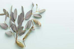 Banner with eucalyptus branches on a blue pastel background. Place for text. photo