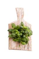 Bunch of fresh organic basil in cutting board on rustic wooden background photo