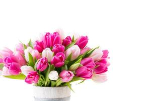 tulipán rosa sobre el fondo blanco. fondo de pascua foto