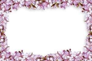 Flower border Frame Background, Flower Background, Floral Frame Background. photo