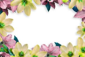 Flower border Frame Background, Flower Background, Floral Frame Background. photo